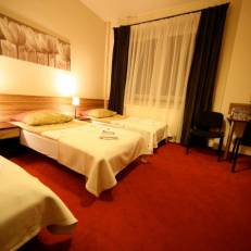 Hotel Seven 7 