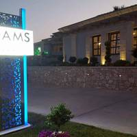 Adam's House 