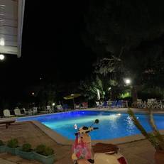 Villa Pap 