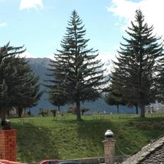 Anostro 