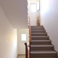 Arodo 