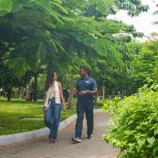 The Windflower Resort & Spa, Pondicherry 