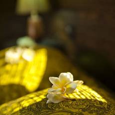 Ecowoods Village Spa & Yoga Retreat 