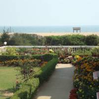 Hotel New Shankar International 