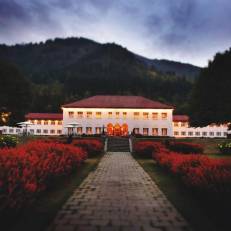 The LaLit Grand Palace Srinagar 