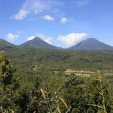 Made Oka Homestay and Warung 
