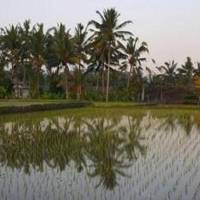 Gusti's Garden 2 Guest House 