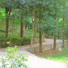 HuangShan Pine Ridge Lodge 