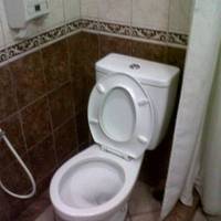 Armyn Luxury Guest House 