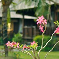 Aman Gati Hotel Balangan 