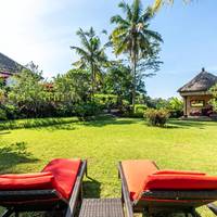 Rumah Orchids