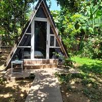 Tam Tinh Vien Homestay 