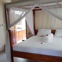 Starlight Hotel Lovina 