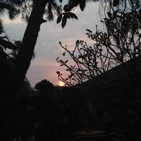Baan Bua Guest House 