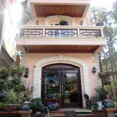 Thai Binh Sapa Hotel 