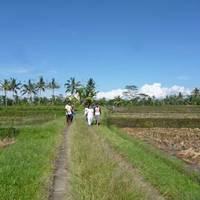 Puri Sebatu Resort 