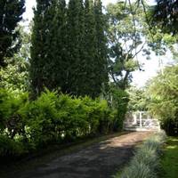 Bandung Guesthouse 