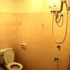 Coolphuket Hostel 