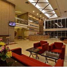 The Arowana Hotel 