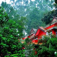 Tea Valley Resort 