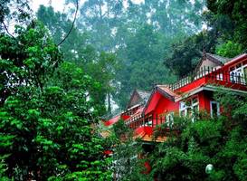 Tea Valley Resort 