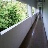 Dedy's Homestay 