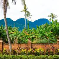 Badini Homestay 