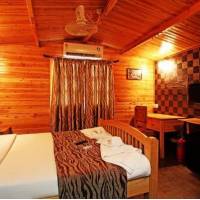 Aryans Resort 