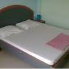 Hotel Vishal 