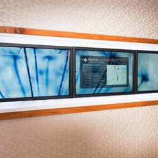 SpringHill Suites by Marriott Bentonville 