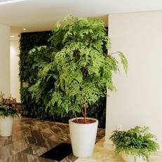 Transamerica Classic La Residence 