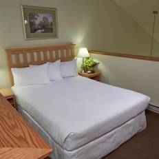 Timber Ridge Lodge and Waterpark 