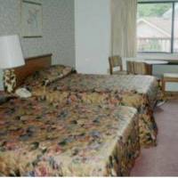 Roaring Fork Motel and Cottages 