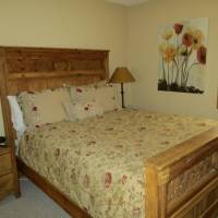 Snowmass Mountain Condominium 