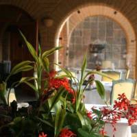 Mision del Sol Resort & Spa 