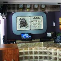Pegasus International Hotel 