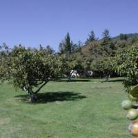 Hotel Rancho Las Margaritas 