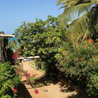 Zicatela Hostel & Surfcamp 