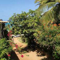 Zicatela Hostel & Surfcamp 
