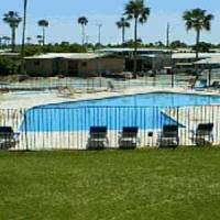 Desert Grove Resort Motel 