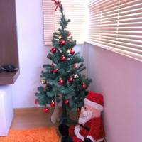 Apartamento Centro Canela 