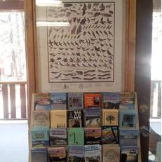 Honey Bear Lodge & Cabins 