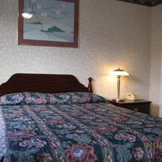 Airport Motel - Inglewood 