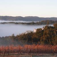 Croad Vineyards - The Inn 