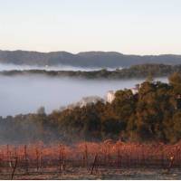 Croad Vineyards - The Inn 