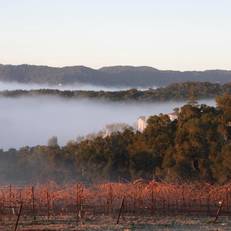 Croad Vineyards - The Inn 