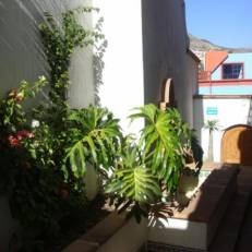 Hotelito Casa Dionisio 