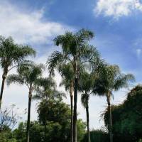Hotel Racquet Cuernavaca 