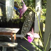 Camping e Pousada Acorde 