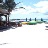 Blue Parrot Suites Hotel 